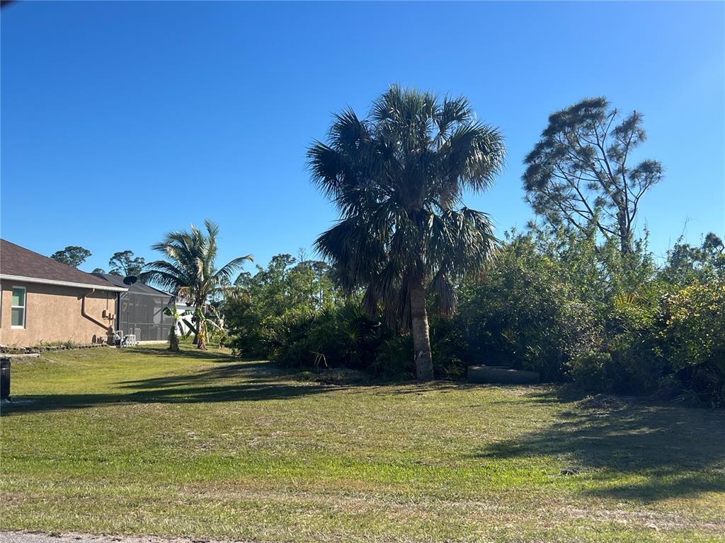 A grassy residential lot features a large palm tree and dense vegetation under a clear sky — 14159 ONSLOW LANE, PORT CHARLOTTE, FL