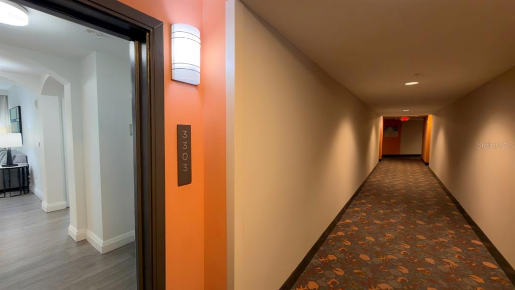 A view from a doorway looking into a hallway with patterned carpet and orange walls — 14501 GROVE RESORT AVENUE UNIT 3303, WINTER GARDEN, FL