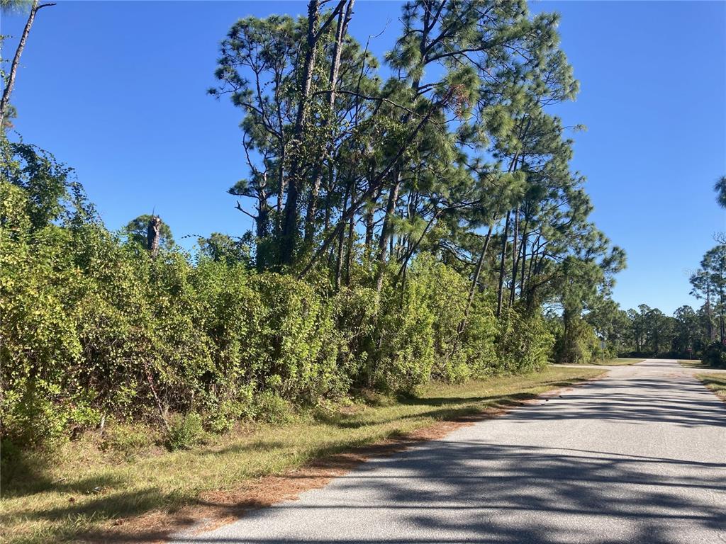 A paved road runs alongside a wooded lot with dense green vegetation and tall pine trees — 12396 SYLVAN STREET, PORT CHARLOTTE, FL