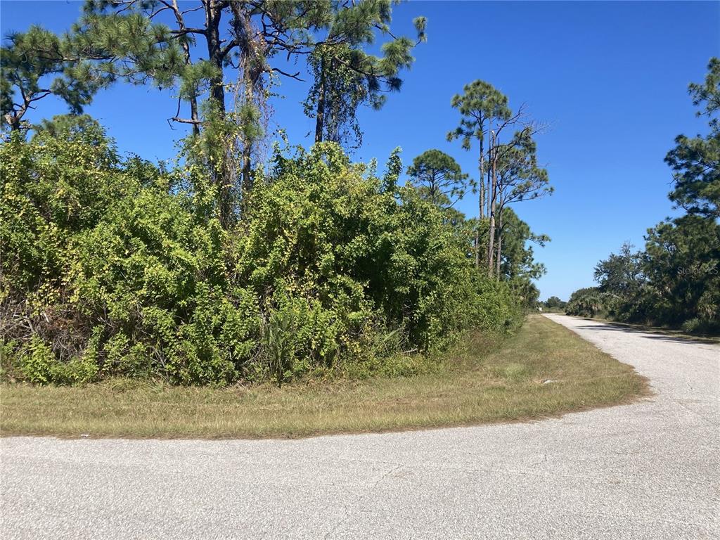A paved road curves past a vacant lot covered in dense trees and brush — 12396 SYLVAN STREET, PORT CHARLOTTE, FL