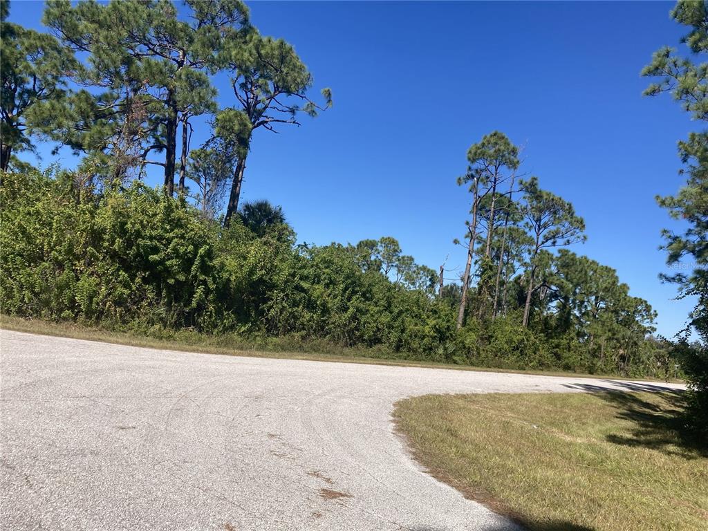 A paved road curves past a vacant, wooded lot under a clear blue sky — 12396 SYLVAN STREET, PORT CHARLOTTE, FL