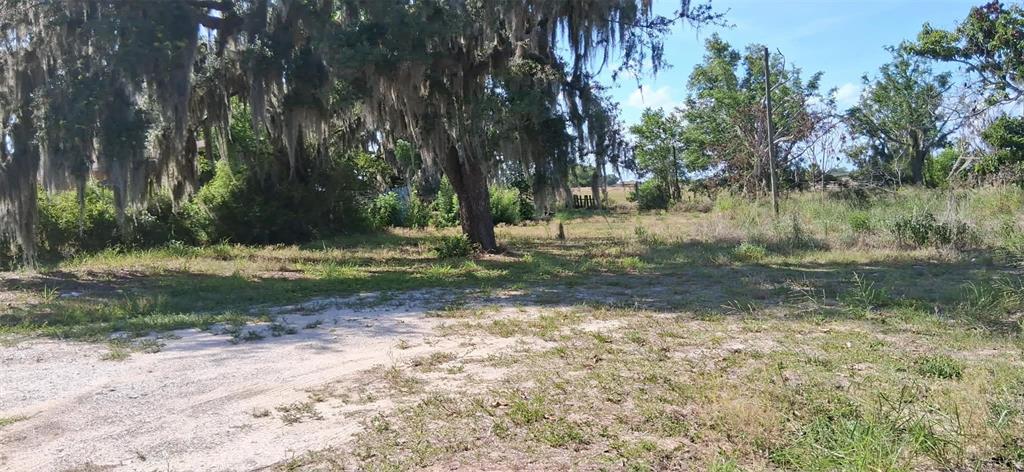 A large, moss-draped oak tree stands on a grassy, partially cleared rural lot — 1110 GRAND AVENUE, SEBRING, FL