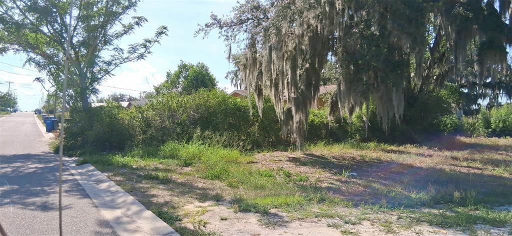 A vacant, overgrown lot sits beside a paved road under a large, moss-covered tree — 1110 GRAND AVENUE, SEBRING, FL