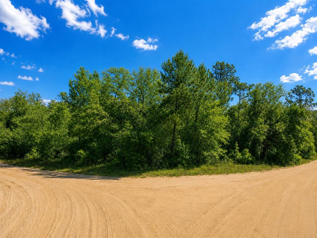 TBD DOGWOOD DRIVE