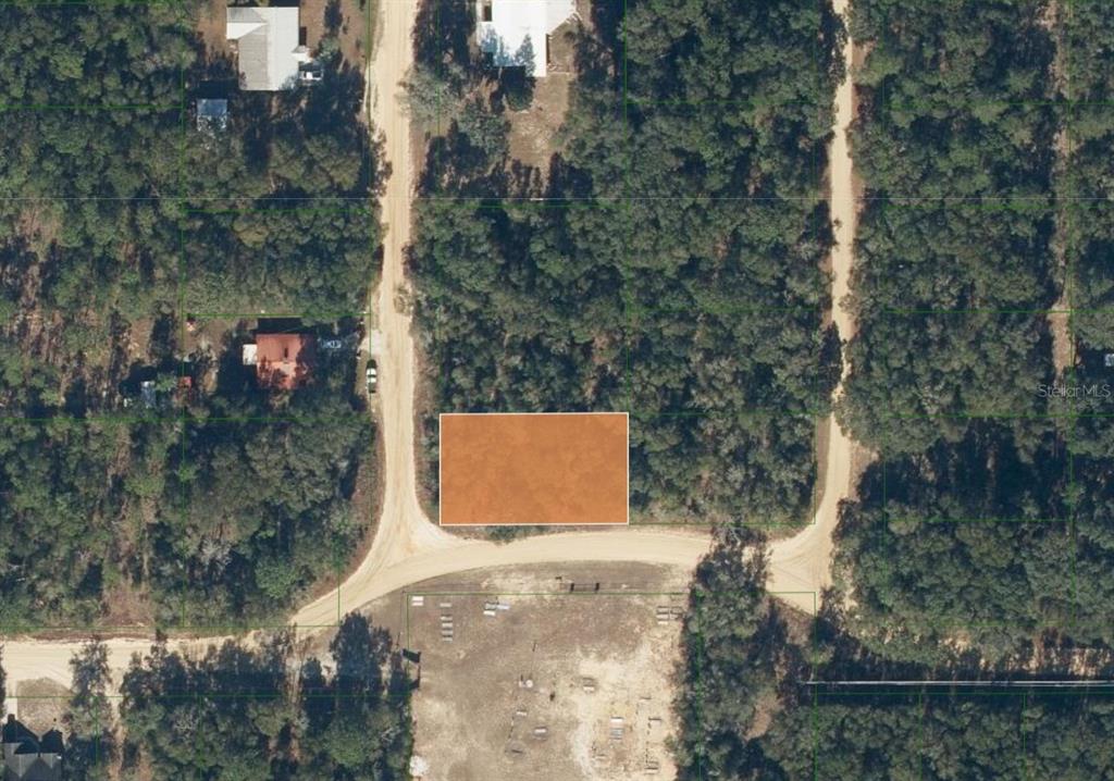 An aerial map view shows a rectangular, highlighted plot of land surrounded by wooded areas — TBD DOGWOOD DRIVE, INTERLACHEN, FL