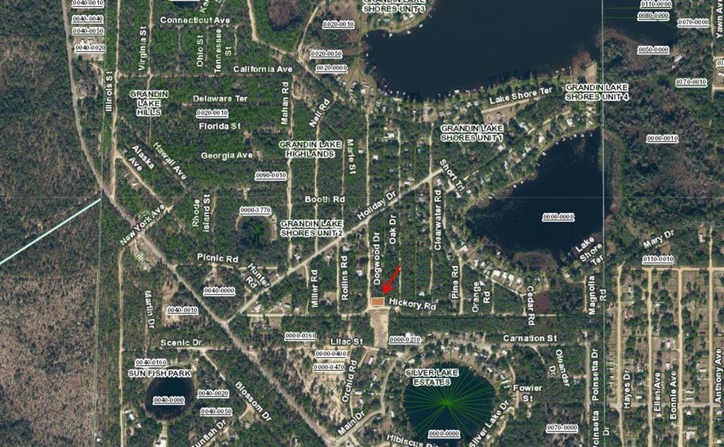 This is a map showing residential streets and property boundaries near a lake — TBD DOGWOOD DRIVE, INTERLACHEN, FL