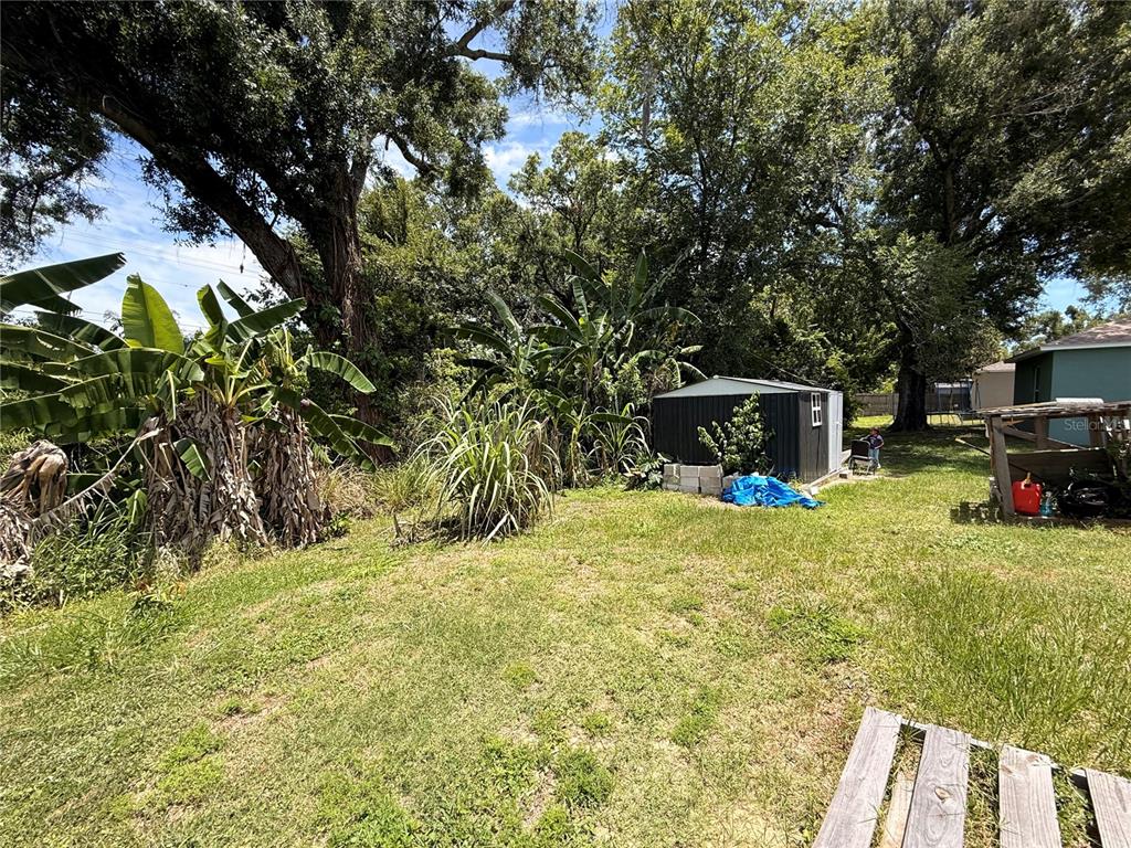A grassy backyard features a metal storage shed, banana plants, and large mature trees — 151 1ST STREET S, WINTER HAVEN, FL