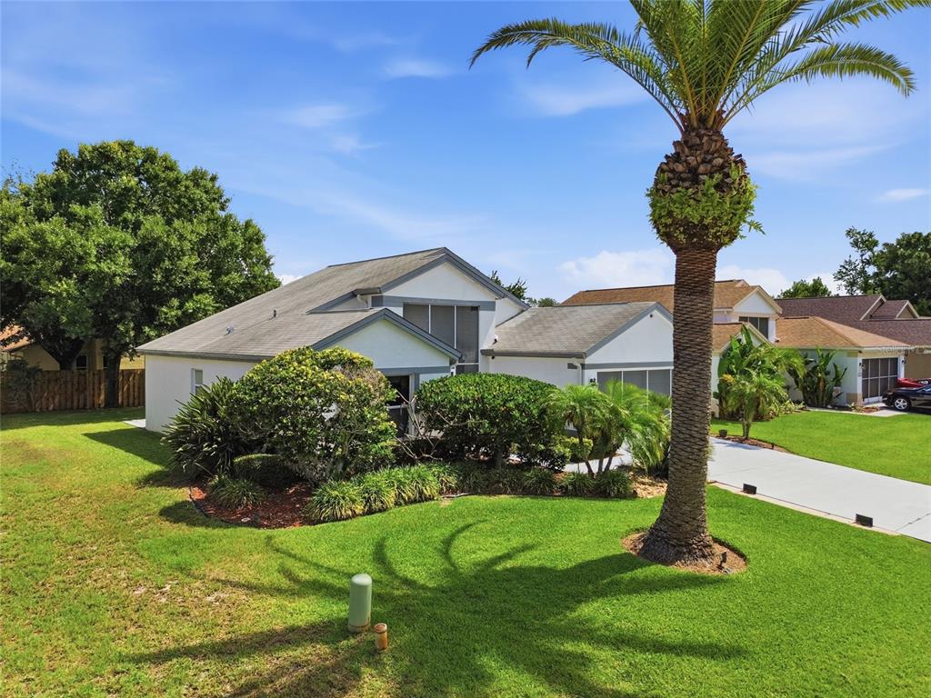 A single-story house with a palm tree in the front yard and a concrete driveway — 8051 THATCH TERRACE, HUDSON, FL