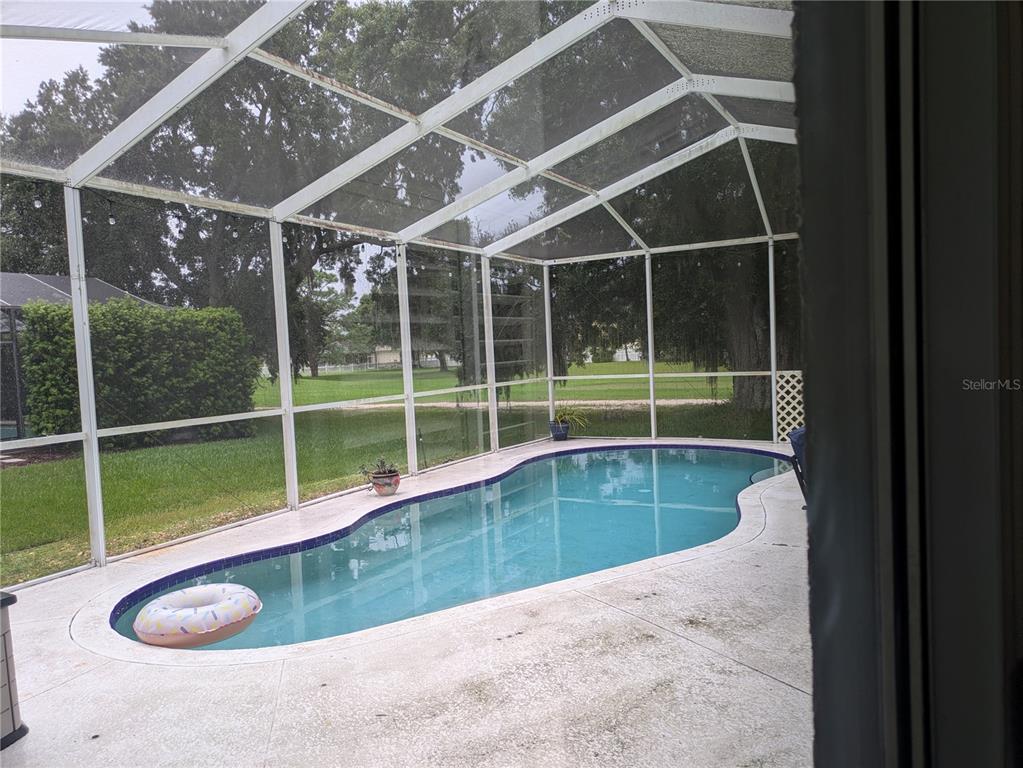 A screened-in pool enclosure features a kidney-shaped swimming pool and a concrete deck — 16120 MUIRFIELD DRIVE, ODESSA, FL
