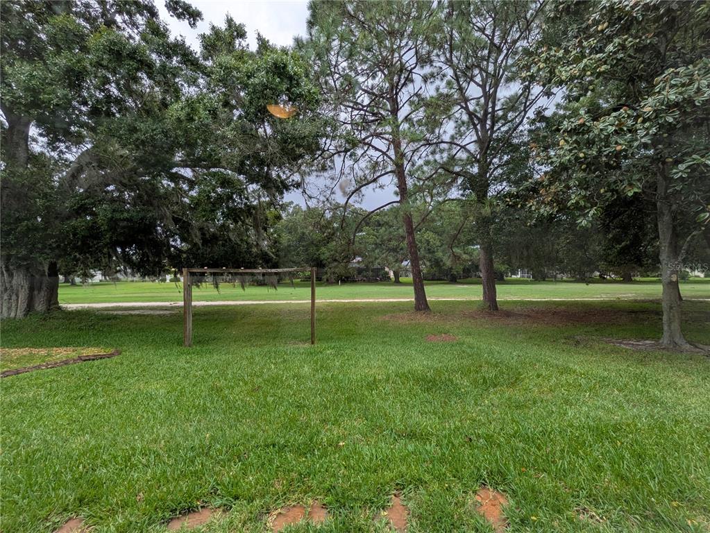 A grassy backyard features a wooden trellis structure surrounded by large trees and lawn — 16120 MUIRFIELD DRIVE, ODESSA, FL