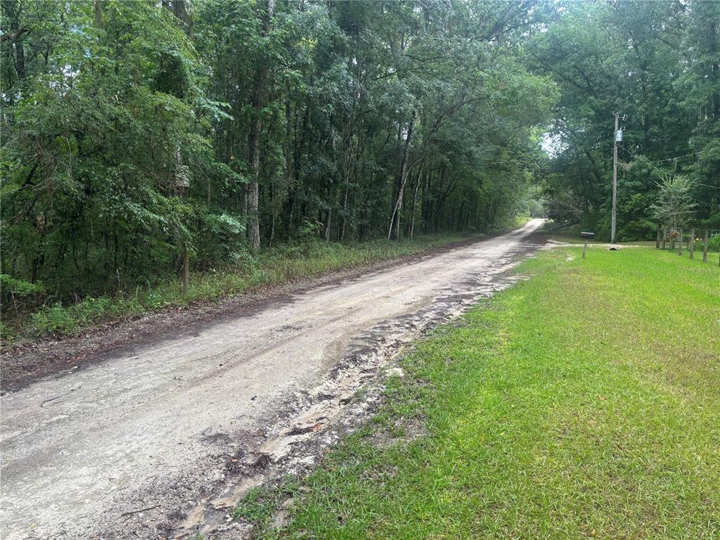 A dirt road runs alongside a grassy lawn and a dense forest of trees — 0000 SW 14TH PLACE, OCALA, FL