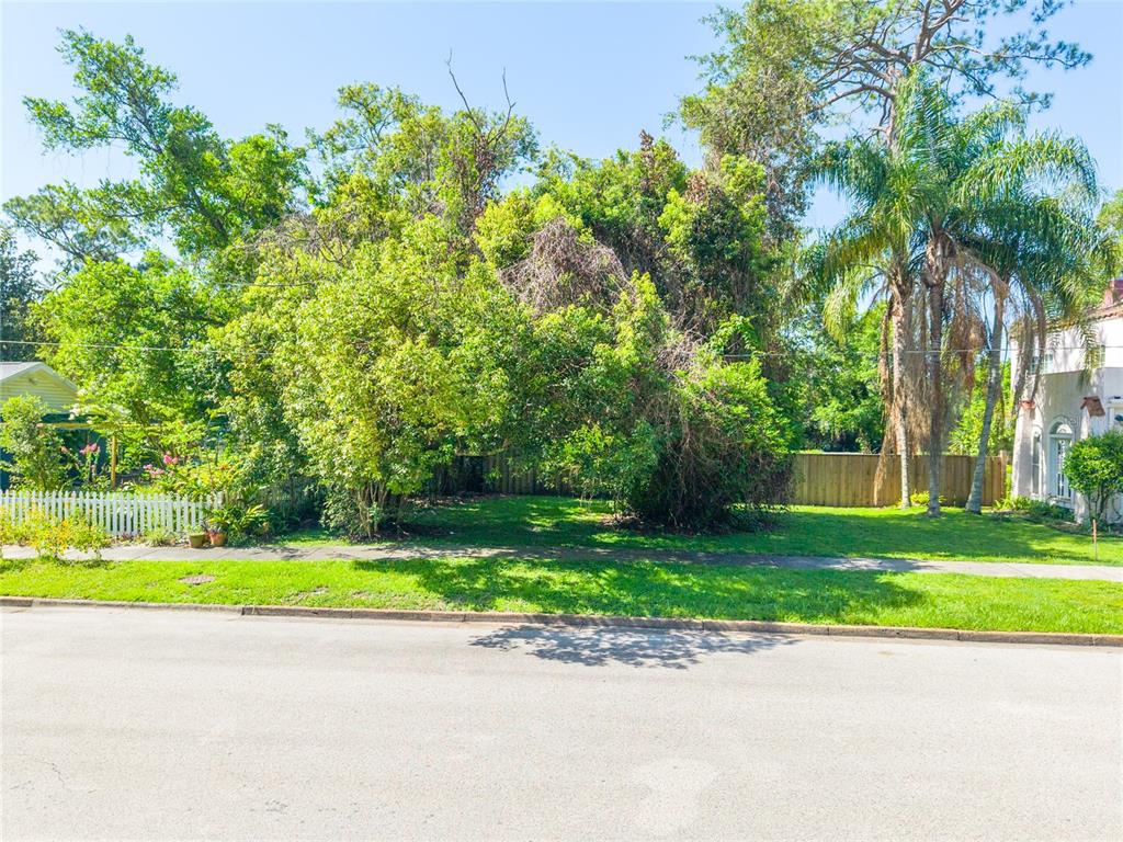 A vacant, tree-filled residential lot sits between two houses along a paved street — VALENCIA STREET, SANFORD, FL