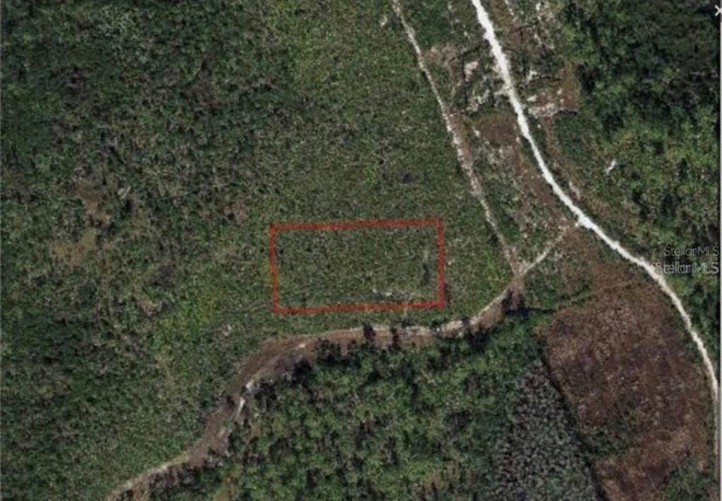 An aerial view shows a rectangular plot of land outlined in red amidst wooded terrain — 00 DILL ROAD, ORLANDO, FL