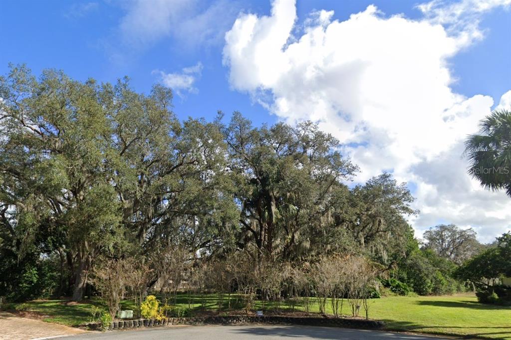 A grassy lot features several large oak trees with Spanish moss under a blue sky — FAIRWAY DRIVE, HAINES CITY, FL