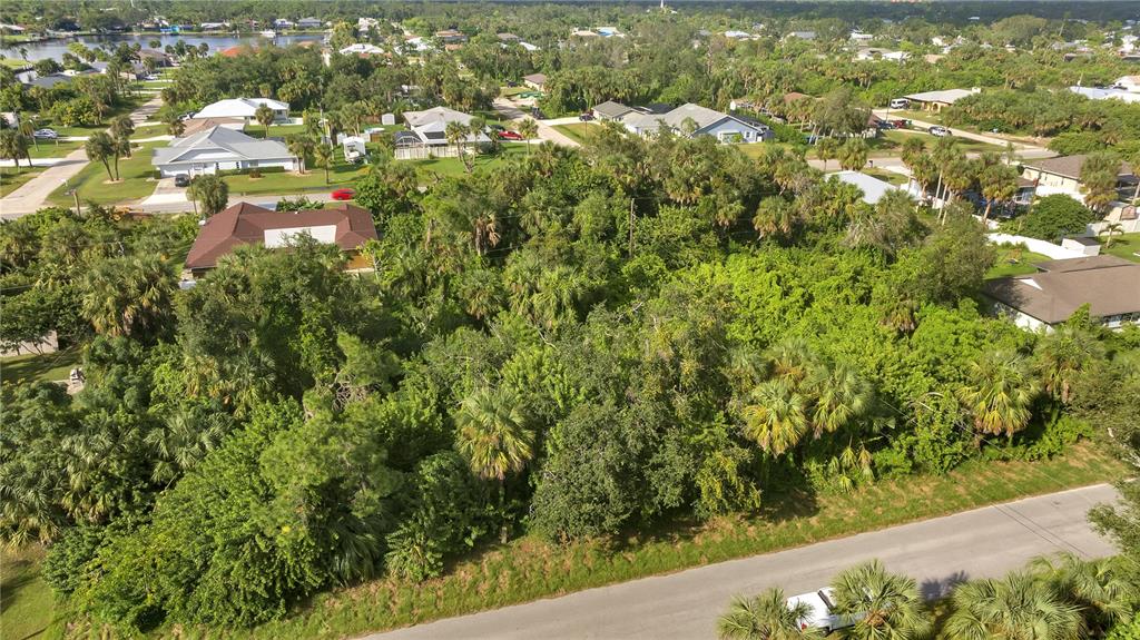 An aerial view shows a heavily wooded, undeveloped residential lot bordered by a paved road — 18444 ACKERMAN AVENUE, PORT CHARLOTTE, FL