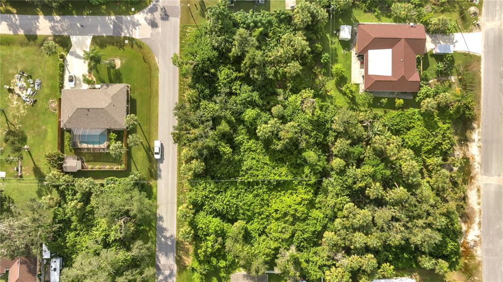 This aerial view shows a heavily wooded vacant lot situated between two residential properties — 18444 ACKERMAN AVENUE, PORT CHARLOTTE, FL