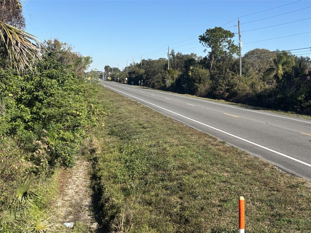 A paved road stretches into the distance, flanked by grassy shoulders and dense roadside vegetation — TOMOKA FARMS ROAD, PORT ORANGE, FL