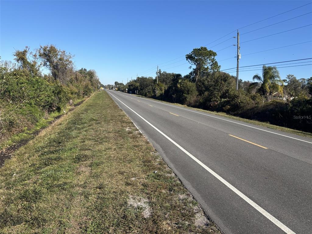 A paved two-lane road stretches into the distance, flanked by grassy shoulders and dense trees — TOMOKA FARMS ROAD, PORT ORANGE, FL