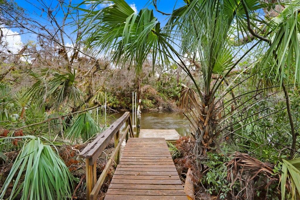 4872 RAMBLING RIVER ROAD, BRANDON, FL — photo 4 of 29