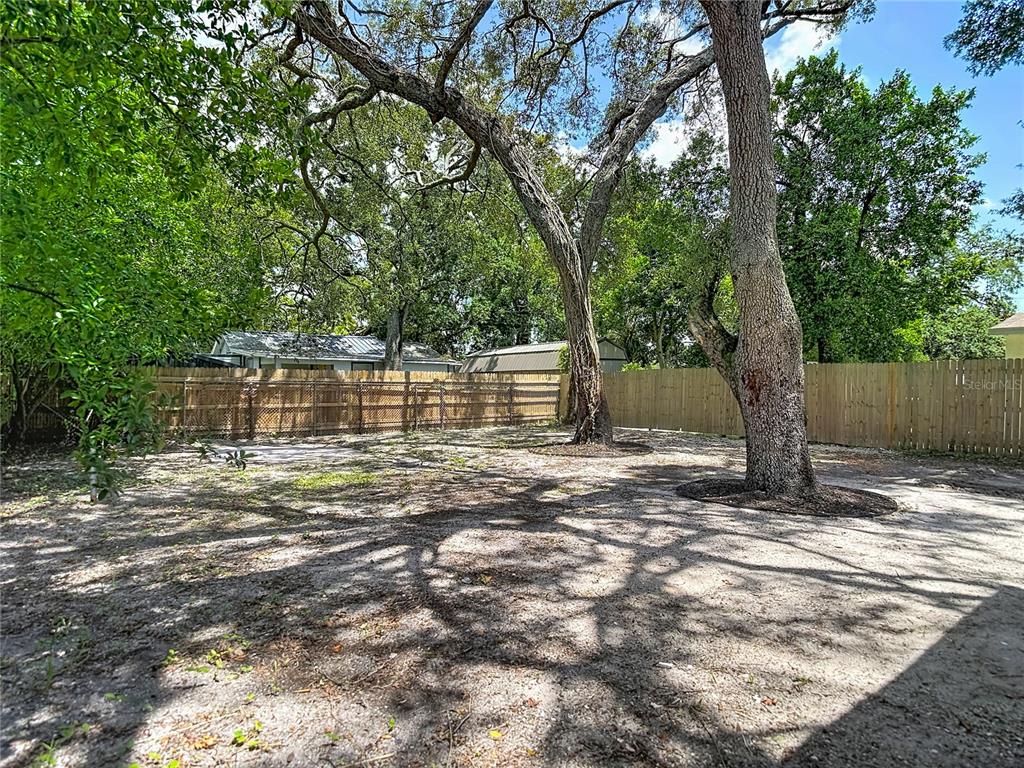 A sandy backyard features two large trees and a wooden privacy fence — 10009 N FLORENCE AVENUE, TAMPA, FL