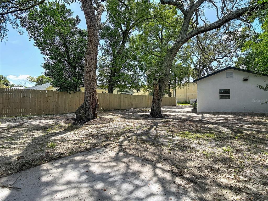 A backyard features two large trees, a wooden fence, and a white exterior wall — 10009 N FLORENCE AVENUE, TAMPA, FL