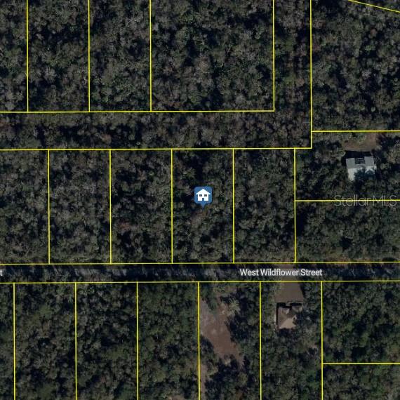 This is an aerial map showing a vacant lot marked with a house icon — 11939 W WILDFLOWER STREET, CRYSTAL RIVER, FL