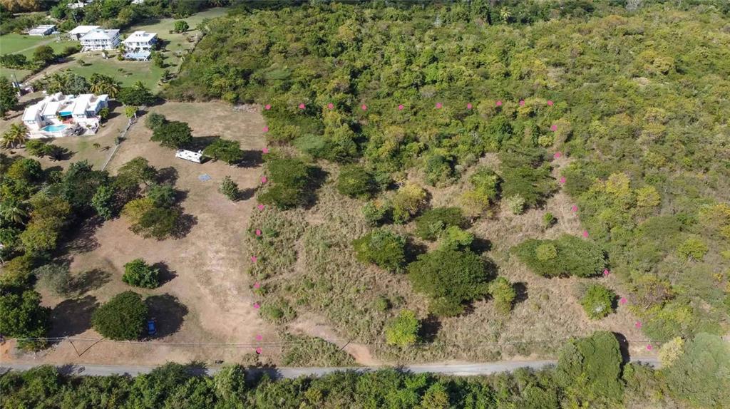 An aerial view shows a rectangular plot of land marked with pink dots for boundary identification — 55 CALLE LA LLAVE, VIEQUES, PR