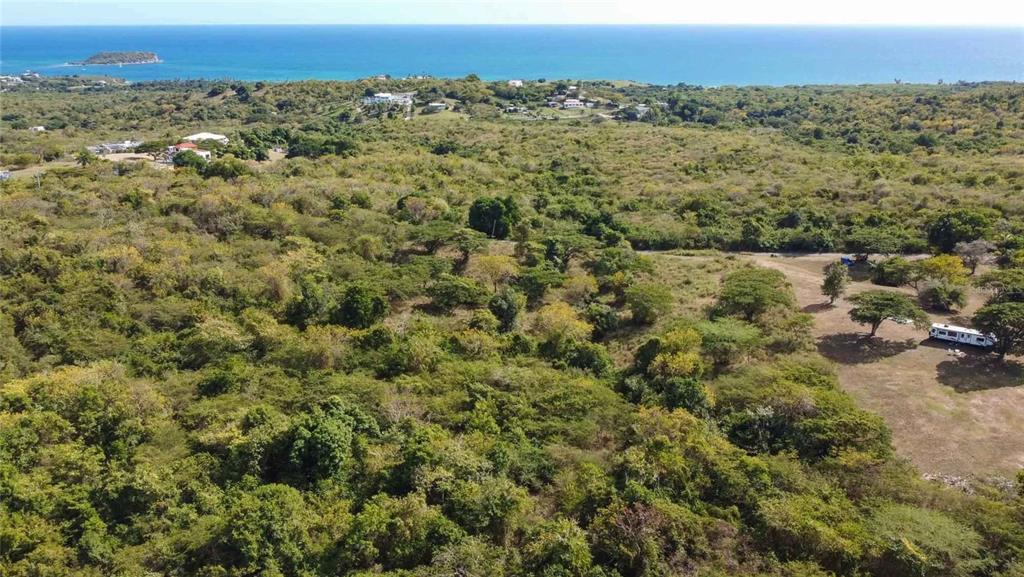 An aerial view of a large, wooded coastal lot with a parked camper — 55 CALLE LA LLAVE, VIEQUES, PR