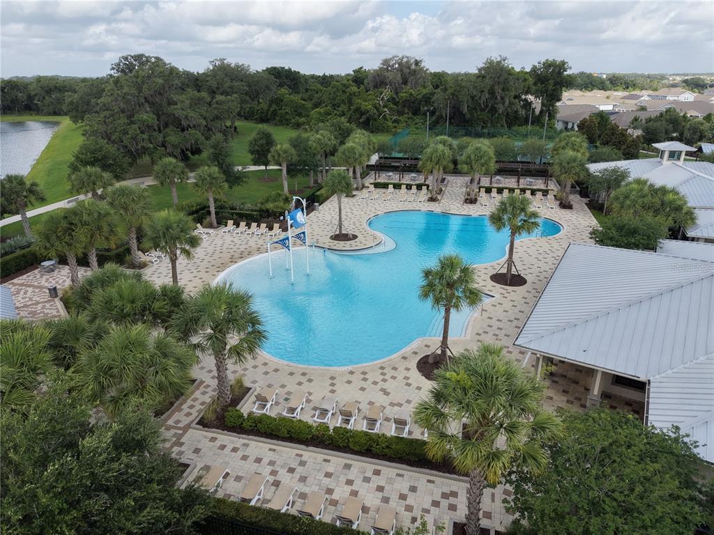 An aerial view of a community swimming pool with palm trees and lounge chairs — 1831 BRIGHT SKY DRIVE, KISSIMMEE, FL