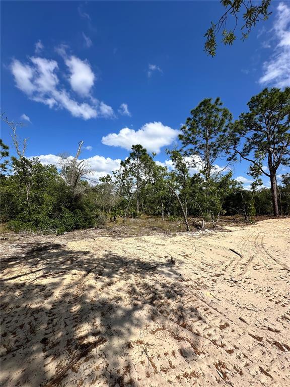A sandy, cleared lot features tire tracks leading toward a wooded area under a blue sky — 3239 W KIRKWOOD PLACE, DUNNELLON, FL