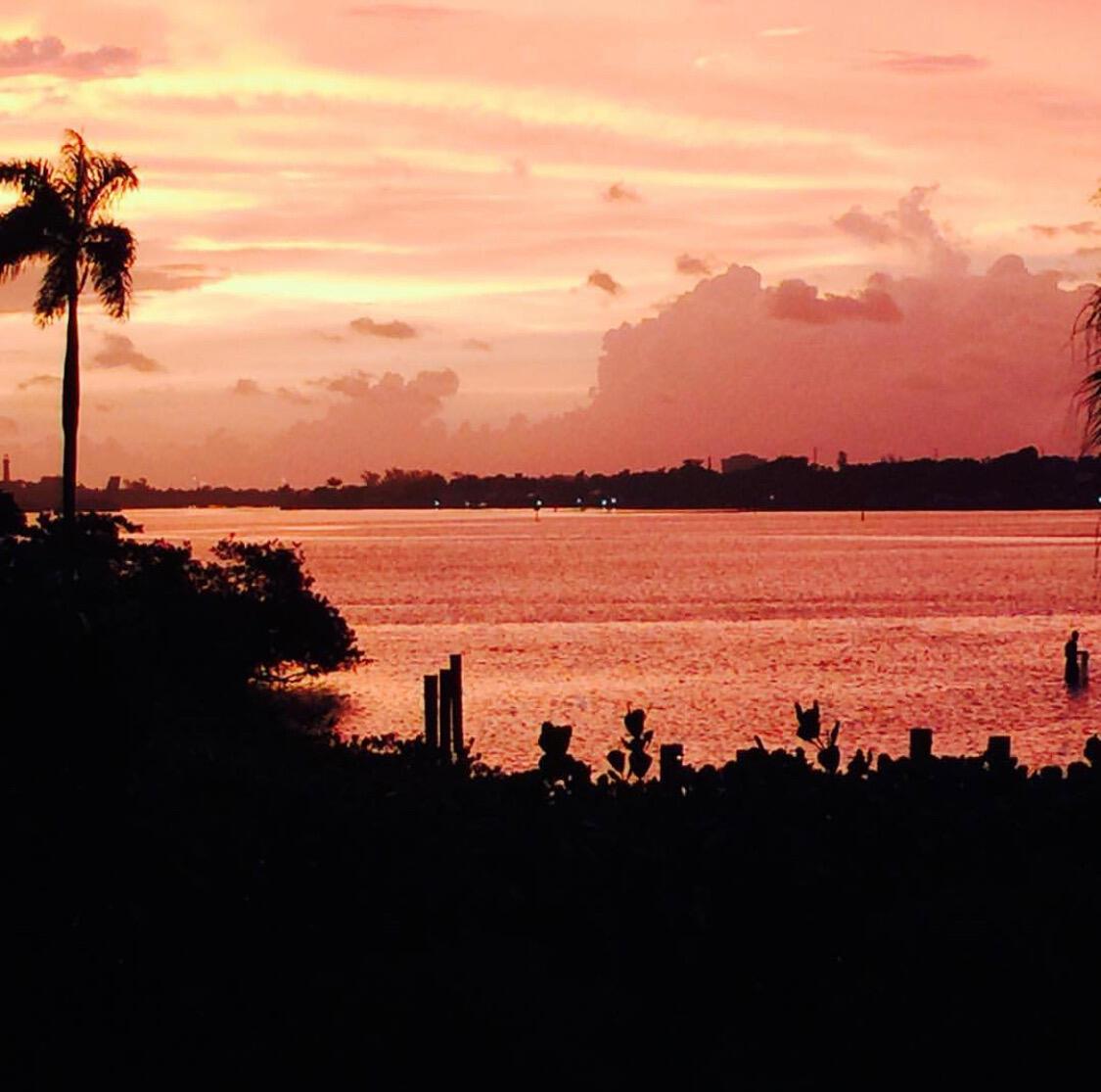 A palm tree stands silhouetted against a vibrant sunset over a calm body of water — 5270 Pennock Point Road, Jupiter FL 33458, JUPITER, FL