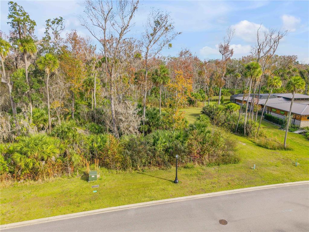 A vacant, wooded residential lot sits next to a modern house along a paved road — 2307 LEGACY LANE, NEW SMYRNA BEACH, FL