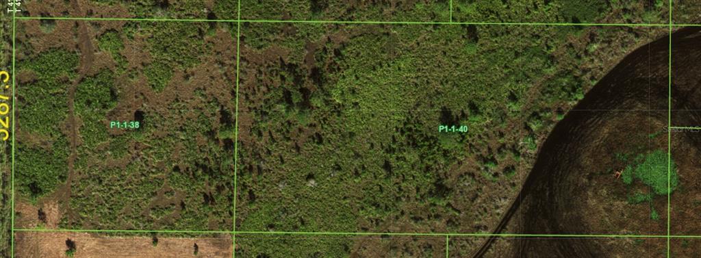 This is an aerial map showing two adjacent plots of undeveloped land labeled P1-1-38 and P1-1-40 — 48105 BERMONT ROAD, PUNTA GORDA, FL