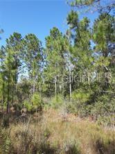 SALYERS ROAD, CLERMONT, FL — photo 4 of 6