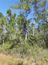 SALYERS ROAD, CLERMONT, FL — photo 5 of 6