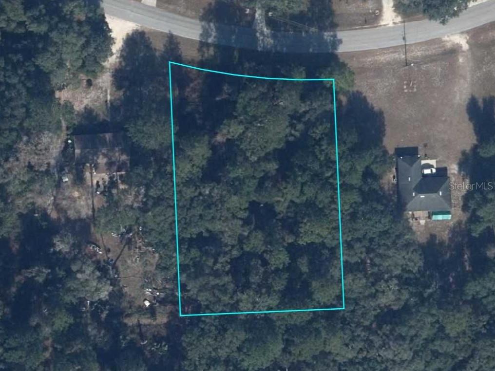 An aerial view shows a wooded, rectangular plot of land outlined in blue — 24615 SE 101ST AVENUE, HAWTHORNE, FL