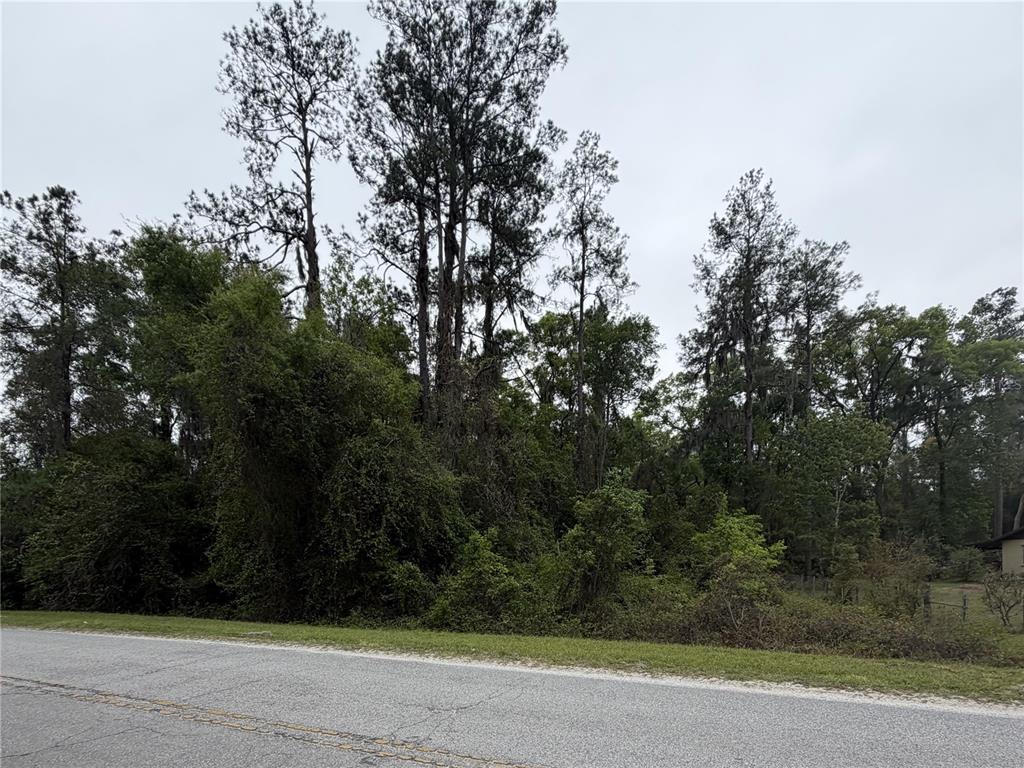 A paved road runs in front of a densely wooded lot with tall pine trees — 24615 SE 101ST AVENUE, HAWTHORNE, FL