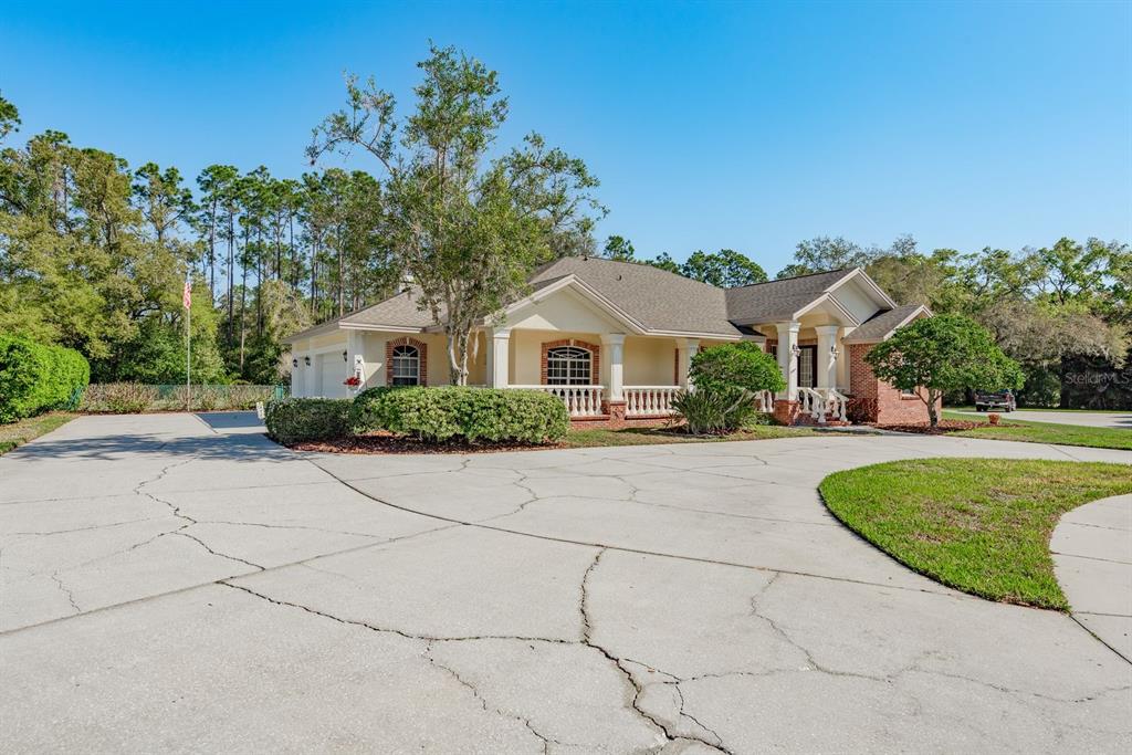 A single-story house with a large concrete driveway, a covered porch, and surrounding trees — 6207 CLAIRE DE LUNE COURT, NEW PORT RICHEY, FL