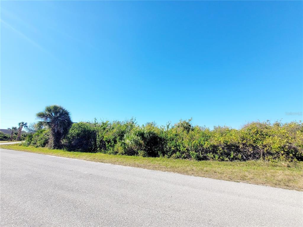 A paved road runs alongside a vacant lot covered in dense green vegetation and palm trees — 14442 AMESTOY AVENUE, PORT CHARLOTTE, FL