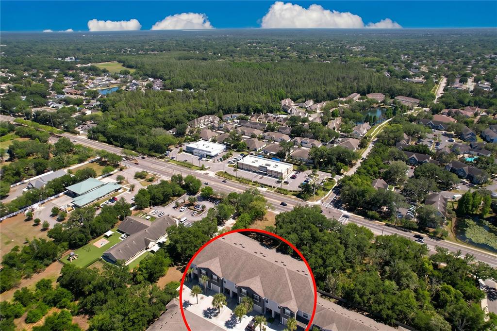 An aerial view shows a residential townhome complex with a red circle highlighting one building — 3313 PLEASANT WILLOW COURT, BRANDON, FL
