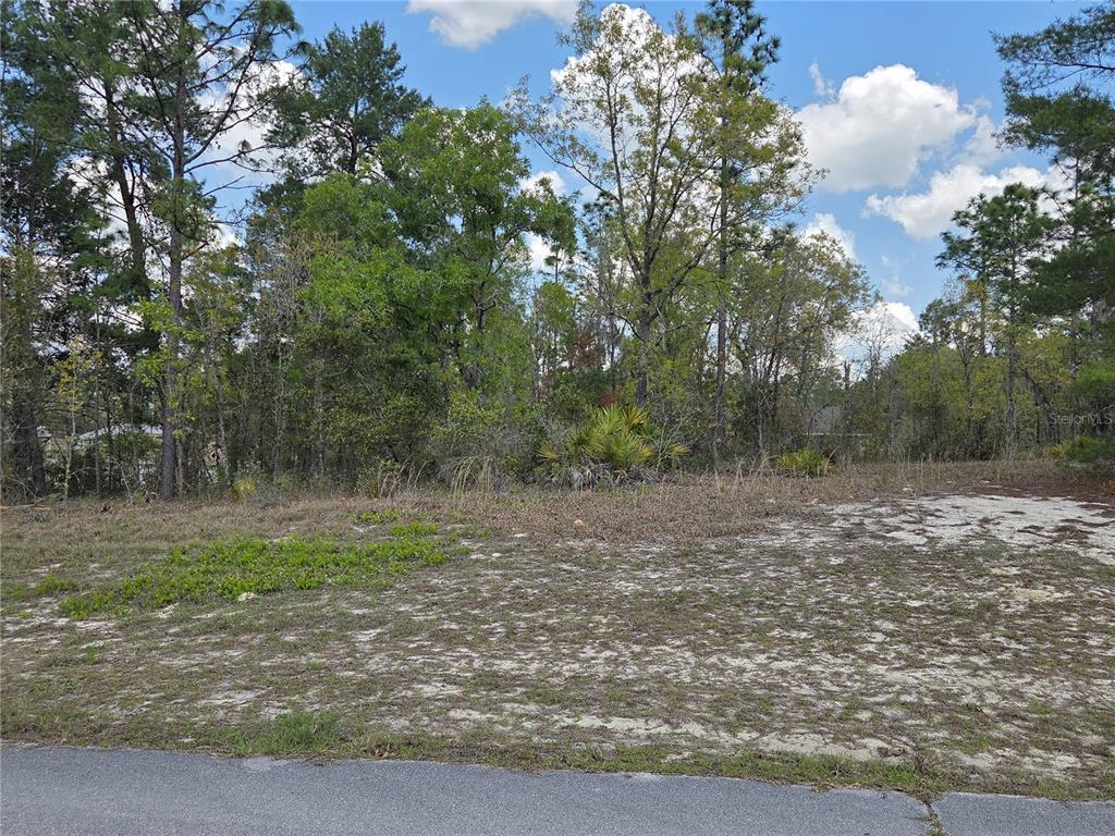 A vacant, sandy residential lot is bordered by a dense forest of tall trees — SW 139TH PLACE ROAD, OCALA, FL