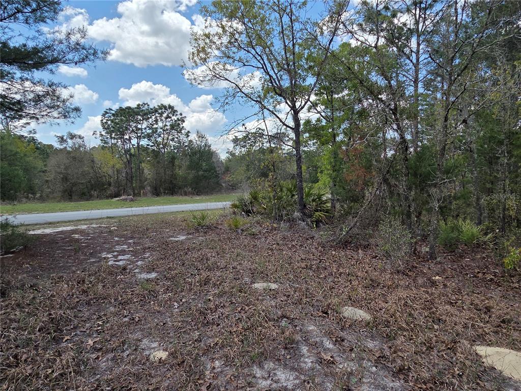A wooded, undeveloped lot with a paved road visible in the background — SW 139TH PLACE ROAD, OCALA, FL