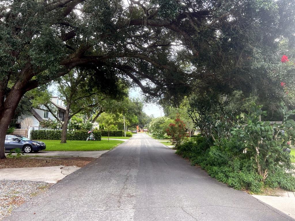 A paved residential street is shaded by large, mature oak trees with houses nearby — 2831 MULFORD AVENUE, WINTER PARK, FL