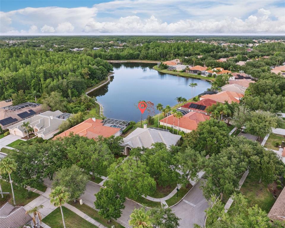 An aerial view shows a residential house with a pool cage overlooking a lake — 10232 ESTUARY DRIVE, TAMPA, FL