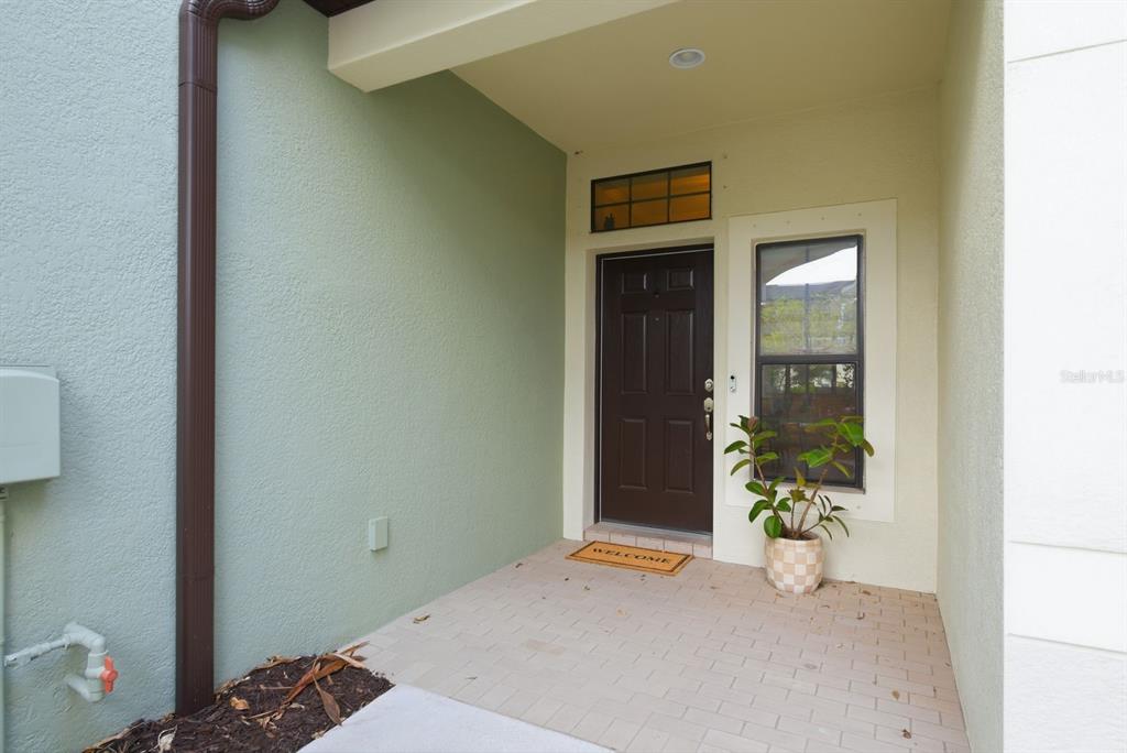 A covered entryway features a brown front door, a side window, and light-colored brick flooring — 11636 CROWNED SPARROW LANE, TAMPA, FL