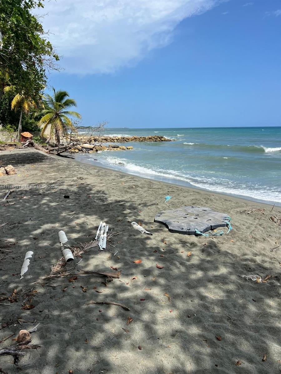 A sandy beach with debris, a palm tree, and a rocky shoreline along the ocean — Paya Bani Dominican Republic, 00000, FL