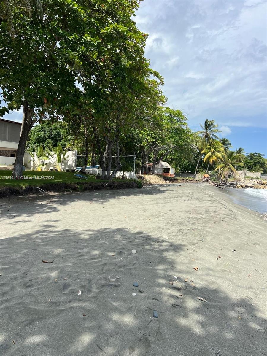 A sandy beach stretches along the shoreline with trees and a small structure nearby — Paya Bani Dominican Republic, 00000, FL