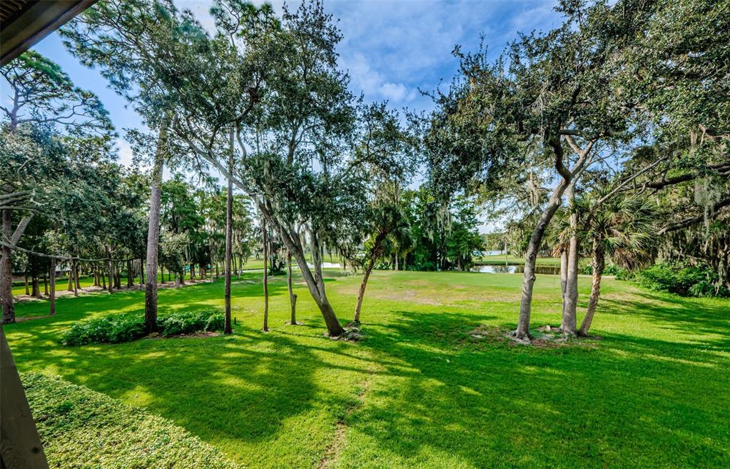 A view of a grassy backyard with many trees overlooking a golf course and pond — 36750 US HIGHWAY 19 N UNIT 2177, PALM HARBOR, FL