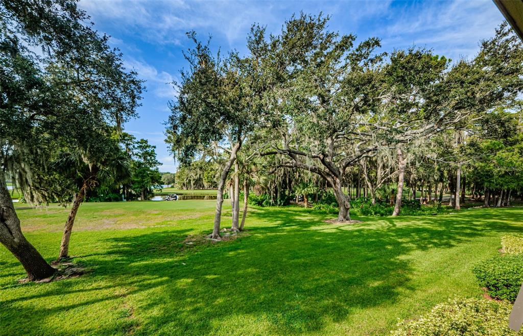 A grassy backyard overlooks a golf course with mature trees and Spanish moss — 36750 US HIGHWAY 19 N UNIT 2177, PALM HARBOR, FL
