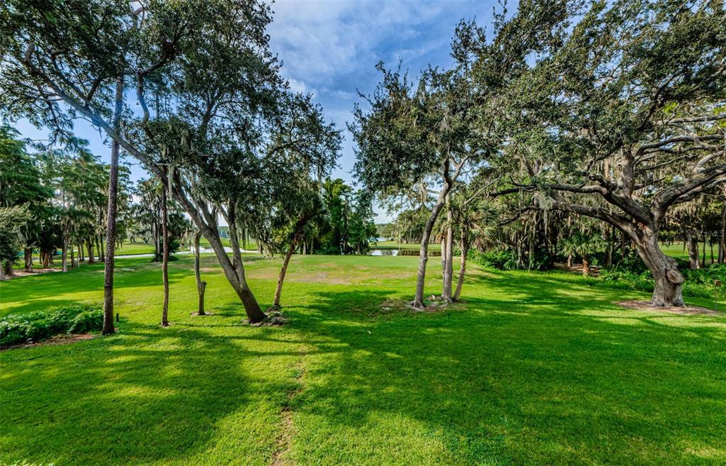 A grassy backyard features mature oak trees with Spanish moss overlooking a golf course pond — 36750 US HIGHWAY 19 N UNIT 2177, PALM HARBOR, FL